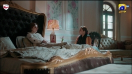 Mehshar - Episode 23 - 20th February 2025